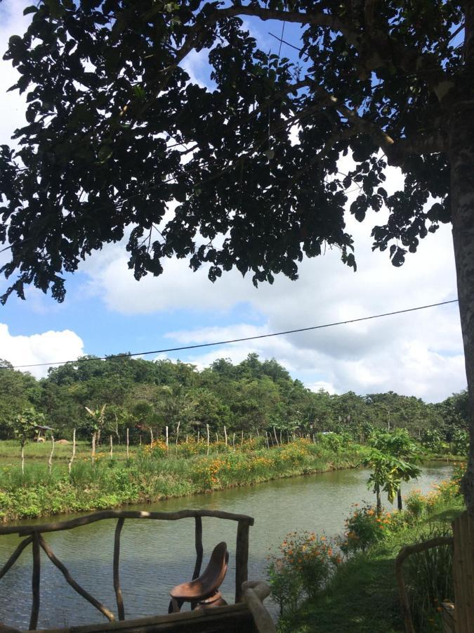Camelo Farm Hotel Bilar Bagian luar foto