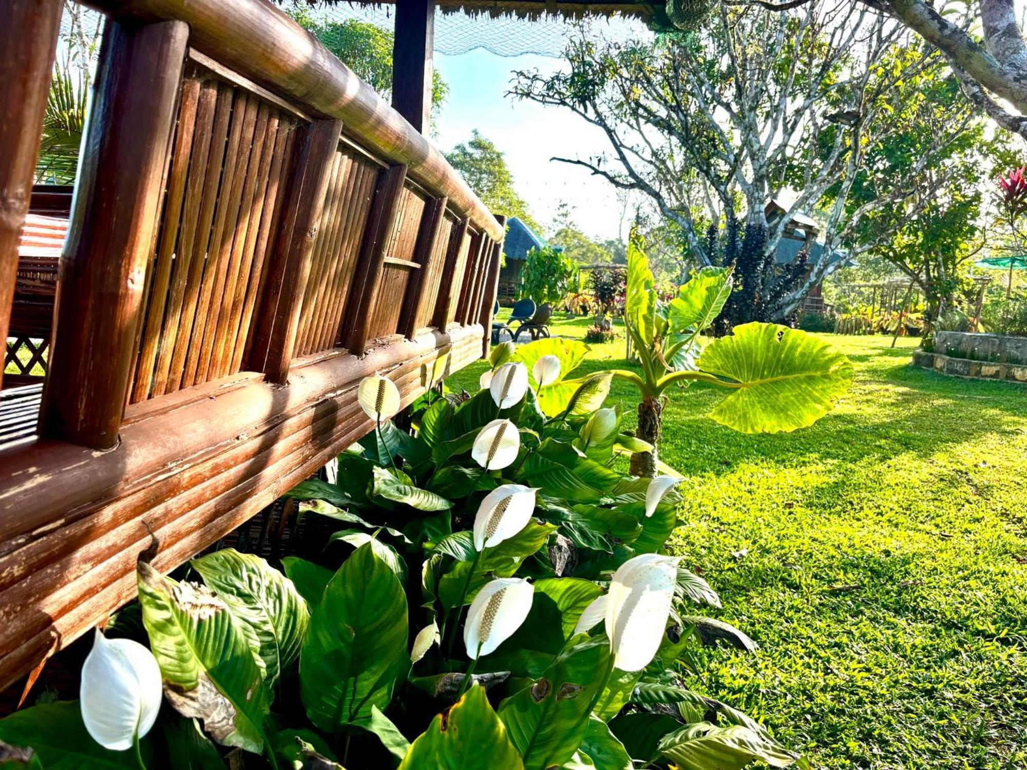 Camelo Farm Hotel Bilar Bagian luar foto