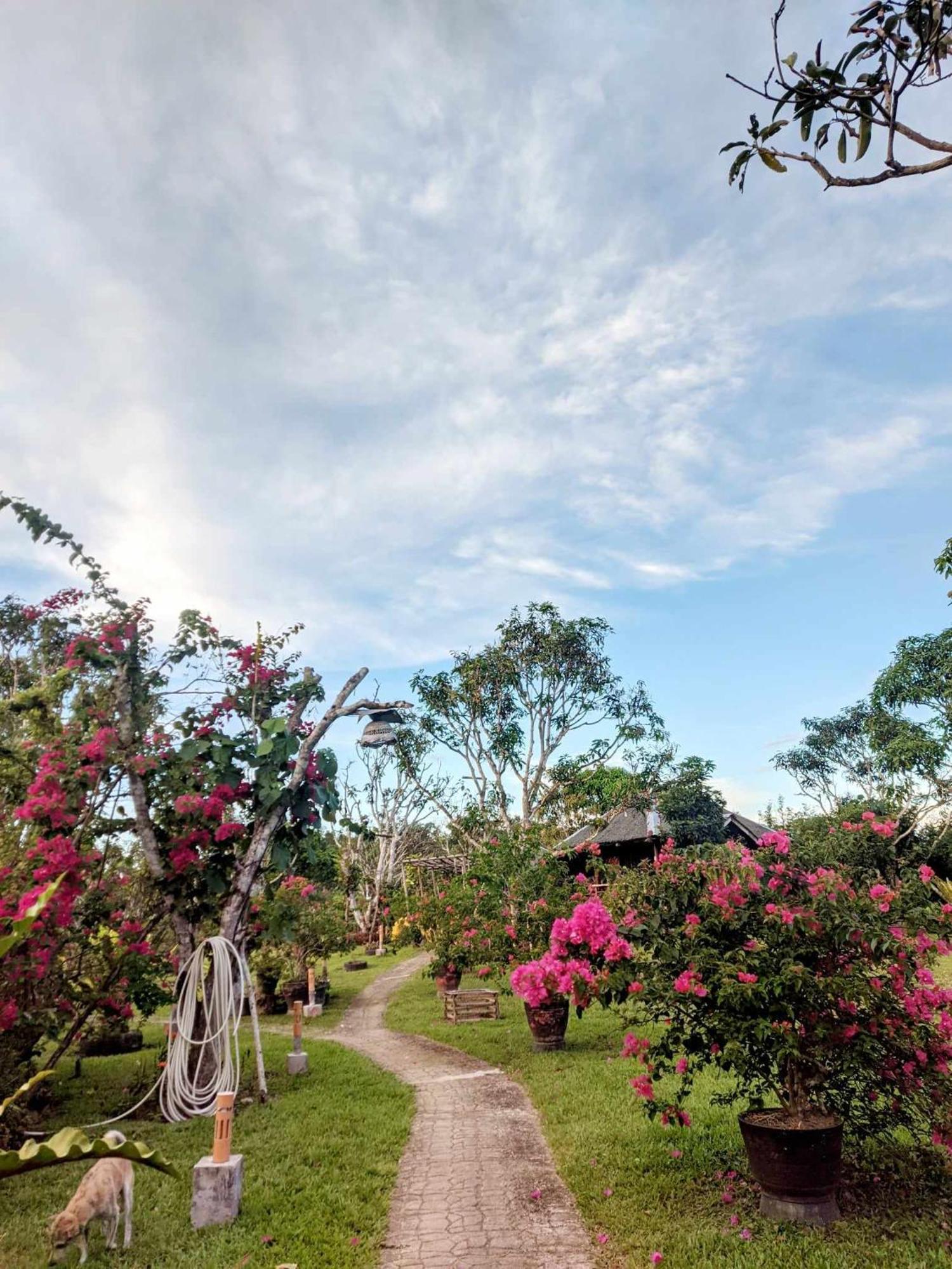 Camelo Farm Hotel Bilar Bagian luar foto