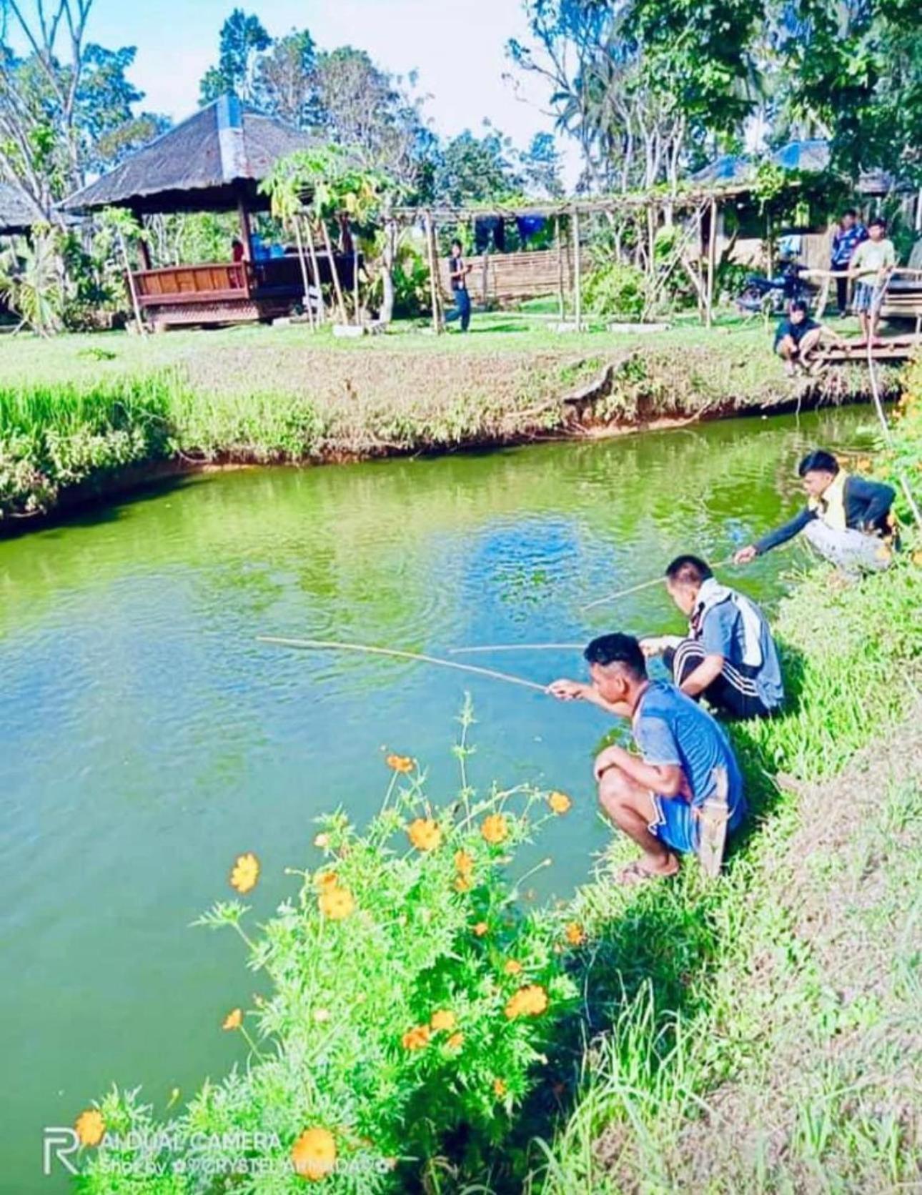 Camelo Farm Hotel Bilar Bagian luar foto