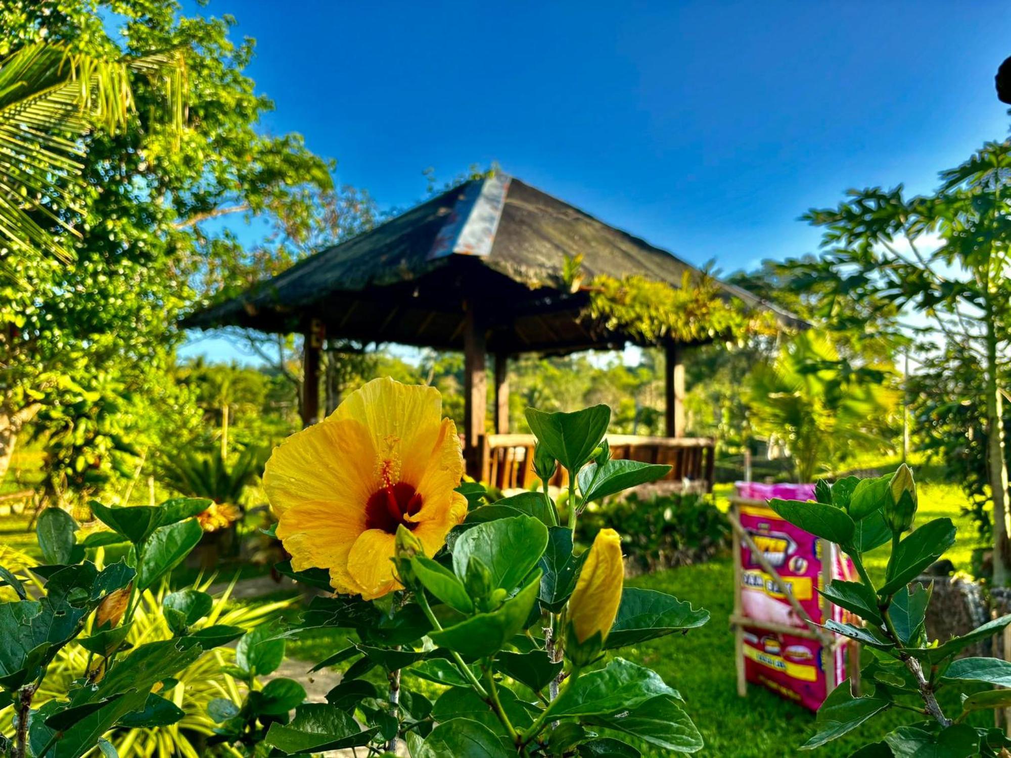 Camelo Farm Hotel Bilar Bagian luar foto